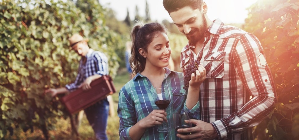 CountryMatch.com review